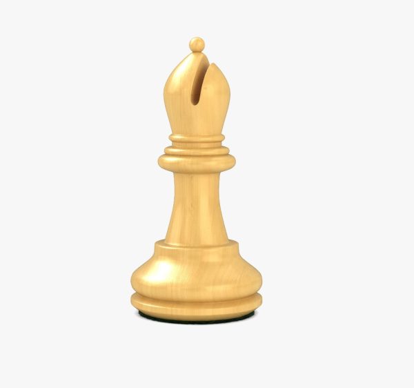 FocusForgeX Pro Academy